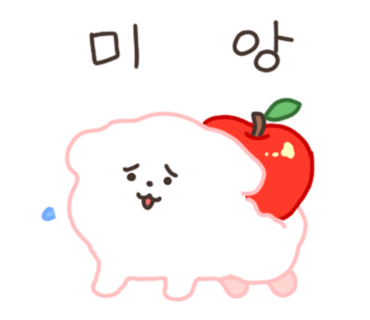 블랙벤자민 이미지