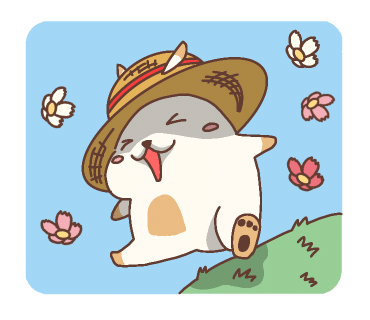 스타정보 이미지