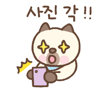 태전동맛집코다리네 이미지
