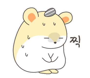 솔룸 이미지