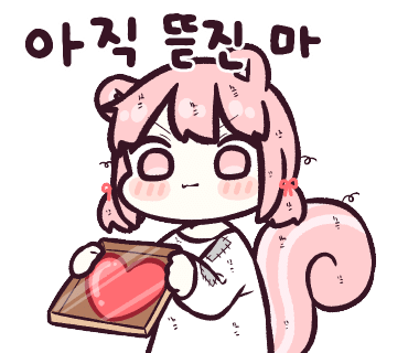 에쓰디 이미지