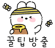 미스터피자사내점 이미지