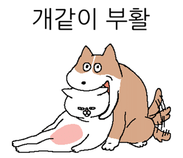 광신보리밥 이미지