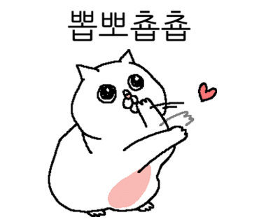 DSLR존 이미지