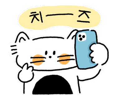 틴팅팩토리 이미지