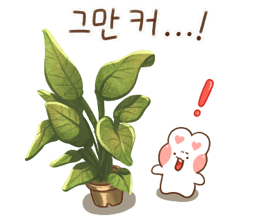 파블리 이미지