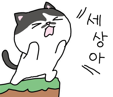 성수놀거리흑백셀프사진관하프스튜디오 이미지