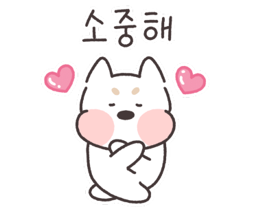 모넬로키즈카페청주 이미지