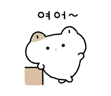 정든가 이미지
