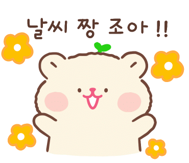 서경차돌해물 이미지