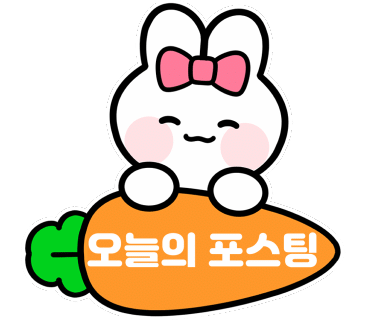 디캔바스 이미지