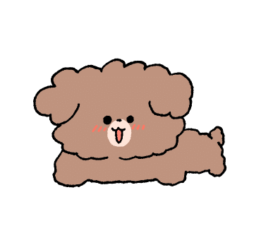 제주바른돼지 이미지