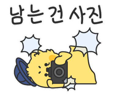 가평 까사 힐 395 캠핑장 이미지