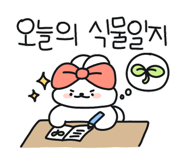 포레스테리어 이미지