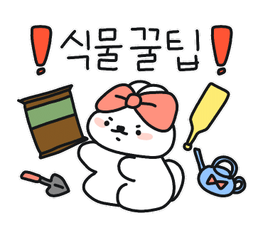 플렌케 이미지