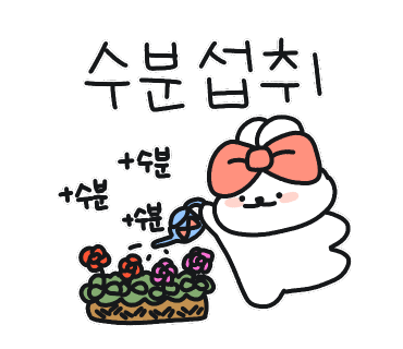 플렌케 이미지