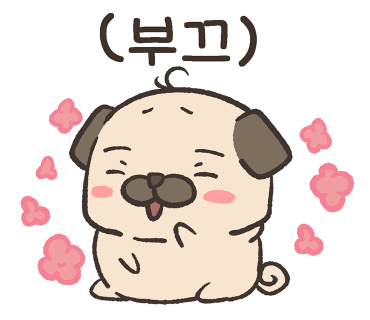 찡보네징어 이미지