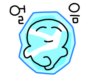 모토카워시 이미지