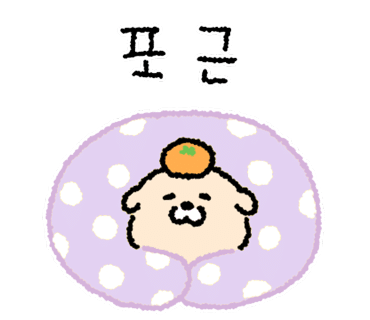 샐피 이미지