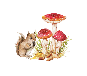 (주)대정 이미지