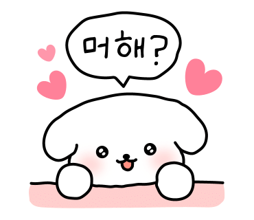 코지의사진과여행 이미지