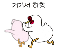 양선비 이미지