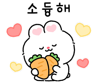 대성건재 이미지