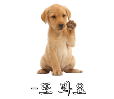 푸른비 이미지