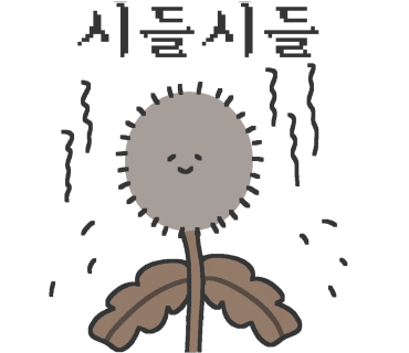위너컴퍼니 이미지