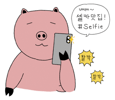 팻투데이(FATTODAY) 이미지