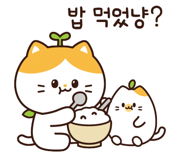 향남 족발맛집 야들야들한 보약족발보쌈