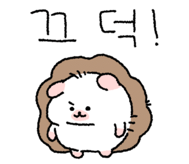 레드콩 이미지