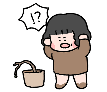 로즈모네 이미지