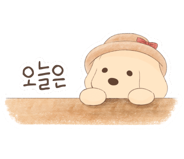 라딘스튜디오 이미지