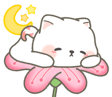 카페꼬레 이미지