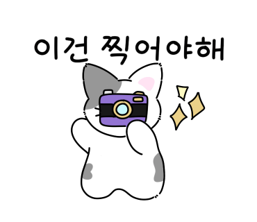 헤어그라스 이미지