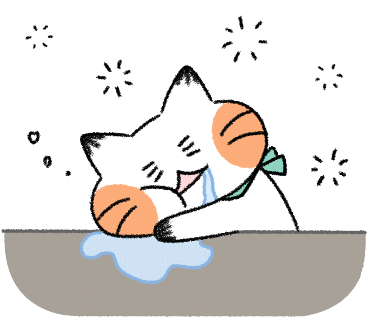 스팟스튜디오 이미지