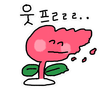 도코데이 이미지