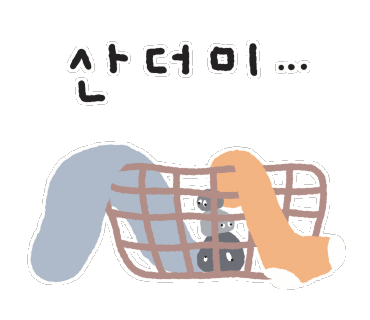 셀프빨래방24시 이미지