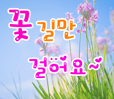 행복플라워 이미지