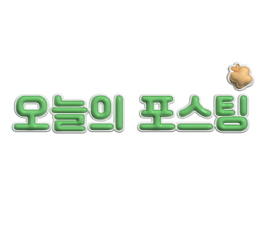③ 우리나라 외환보유액(고) :: 규모, 대한민국 순위 (24년 11월)