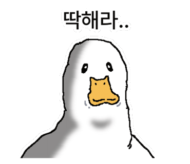 도도리 이미지