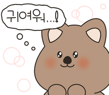 메이플커피라운지 이미지