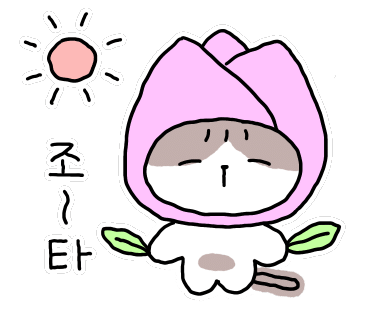 꿀아로마 이미지