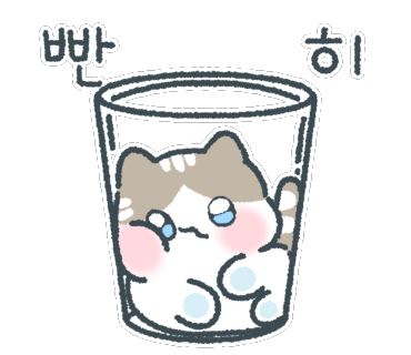 코코언니 이미지