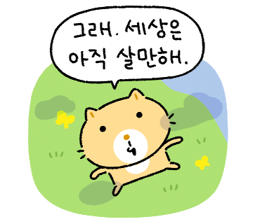 미플란트치과 이미지