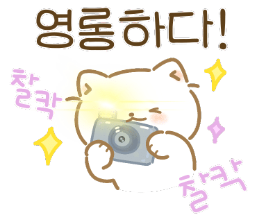삼성커텐 이미지