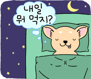 한과미의식 이미지