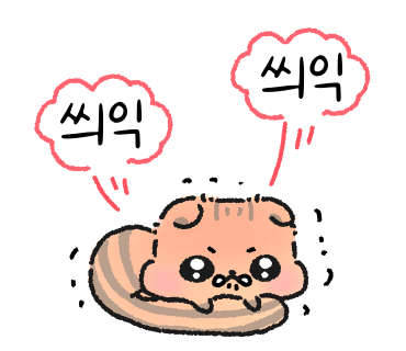 프라하&타로 이미지