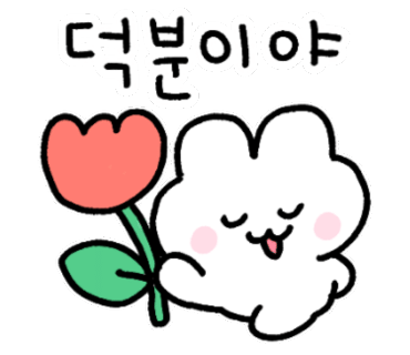 수상한막창도선 이미지